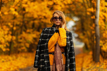 Fashionable Autumn Portrait Of A Beautiful Girl With Hair With Sunglasses In A Fashionable Black Coat, Knitted Vintage Sweater And Scarf In Nature With Colored Yellow Fall Foliage