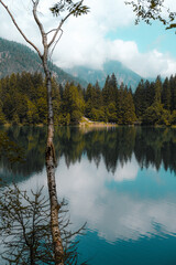 Wall Mural - Mesmerizing view of a calm lake surrounded by trees with reflection