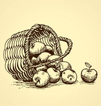 Vintage Apples Tipped Out Basket Illustration