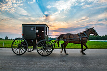 Amish Buggy Early Morning.