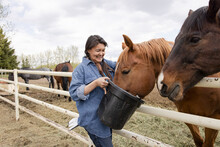 Happy Female Farmer Feeding Horses From Bucket At Fence On Farm