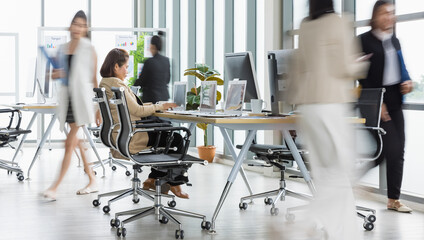 Wall Mural - Selective focus on one business woman sitting and working on laptops on conference table with other blurry business women walking in rush in office with multiple glass windows