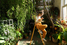 Smiling Woman Gardener In Orange Overalls Sitting On Stepladder In Green House, Resting, Takes A Photo Of Asparagus Houseplant Twig On Smartphone. Love For Plants, Hobby, Indoor Gardening. 
