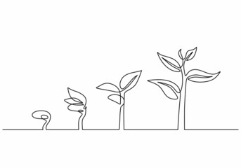 continuous line drawing of step of tree growth. plants grow isolated on white background or plant se