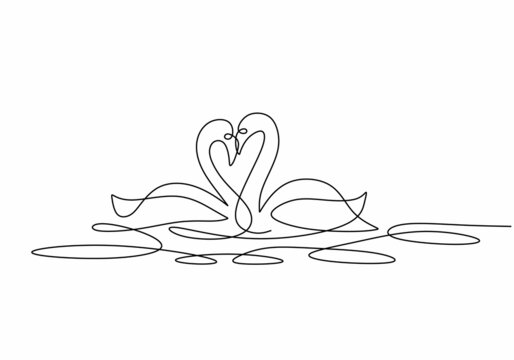 continuous line drawing of two beautiful swans gliding together. one continuous line drawing of cute