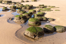 Stones Overgrown With Green Algae On A Sandy Beach