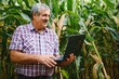 © Serhii - A farmer checks the tall corn crop before harvesting. Agronomist in the field
