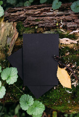 Poster - Black craft paper mockup template on the background of forest magic nature