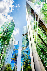 Wall Mural - green city - double exposure of lush green forest and modern skyscrapers windows