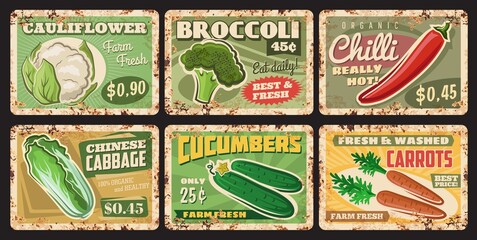 Vegetables rusty metal plates, vector price tags for farm market veggies cauliflower, cucumber, chili and broccoli with chinese cabbage or carrot vintage rust tin signs. Organic food ferruginous cards