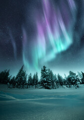 Wall Mural - the aurora northern lights flicker in the winter night sky above a forest in sweden. photo composite