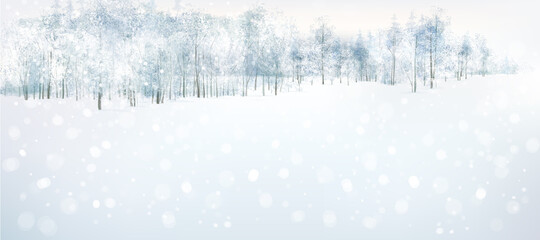Wall Mural - vector winter forest background.