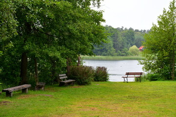 Wall Mural - View of a shallow river or lake covered from all sides with lush and dense trees located next to a well maintained lawn, pastureland or meadow with some wooden benches scattered around seen after rain