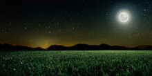 Green Field On The Background Of The Night Sky.