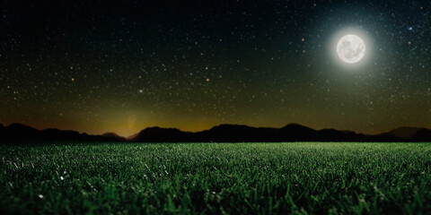 Wall Mural - Green field on the background of the night sky.