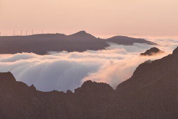 Wall Mural - Beautiful landscape in Madeira. Mountains, trees, pastures.
Madeira is known as the island of eternal spring.