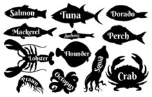 Fish And Seafood Silhouettes For Vintage Logo Or Label Icons. Ocean Salmon, Tuna, Dorado And Lobster, Prawn And Squid. Sea Food Vector Set