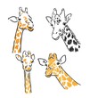 Giraffe - isolated vector with spots giraffe vector sketch