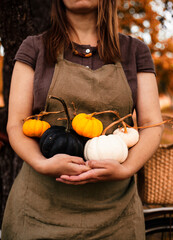 holding, cooking, delicious, girl, woman, food, agriculture, autumn, autumnal, caucasian, celebration, cute, dark, decoration, decorative, design, element, fall, farm, garden, gardener, halloween, han