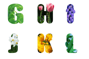 Wall Mural - The letters of the English alphabet made of flowers