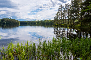 Wall Mural - malerische Landschaft mit Bäumen, Wolken und blauem Himmel spiegelt sich in einem See