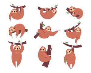 Wall Mural - cute sloth cartoon character flat vector illustrations set. collection of drawings with sleepy anima