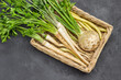 Parsley with leaves and roots, celery tuber with leaves in wicker basket