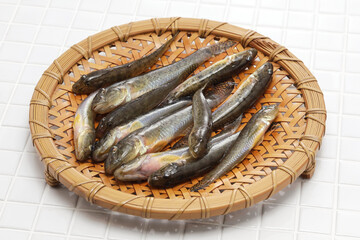 Wall Mural - haze, Japanese goby on bamboo tray