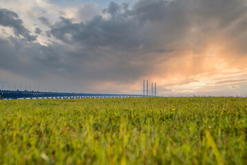 Wall Mural - Panoramic view of the Oresundsbron bridge between Denmark and Sweden. Oresund Bridge view at sunset.