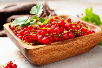 Canvas Print - red currant