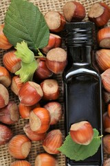 Wall Mural - Hazelnut oil. Dark glass bottle and hazelnuts on burlap.Organic Vegan Fresh Hazelnut oil. 