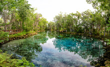 Panorama Of Three Sisters Springs In The Crystal River National Wildlife Refuge, Florida, USA