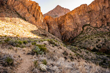 Trail Heading To Cattail Falls In Big Bend