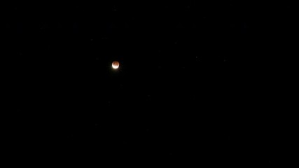 Wall Mural - Time lapse of a blood moon eclipse with the moon rising high into the sky against a dark and starry night sky. You can see the eclipse sequence with the bright red moon.