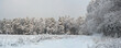 © Valery Kleymenov - Forest and clearing covered with snow and frost