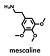 Mescaline peyote cactus psychedelic molecule. Skeletal formula.