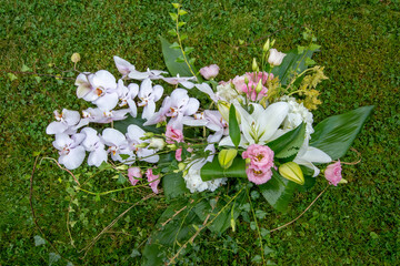 Wall Mural - Bouquet fleurs