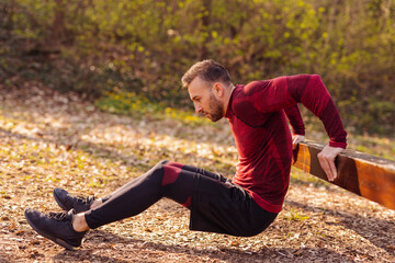 Wall Mural - Man doing dips while exercising outdoors