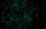 Fototapeta Motyle - Dark Green vector elegant wallpaper with trees, branches.