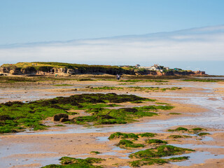 Canvas Print - Mesmerizing view of hilbre island river with moss in wirral, uk