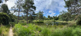 Fototapeta Natura - Panorama from a pond and forest around Wijnjewoude