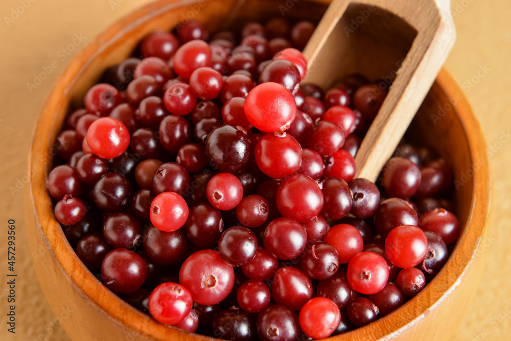 Bowl and scoop with healthy cranberries on color background