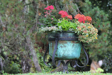 Wall Mural - red flowers in the garden