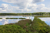 Fototapeta Na ścianę - Overlooking the lake in the reserve Het Vinne in the Vicinity of Zoutleeuw
