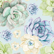 Beautiful Succulent Flower Watercolor Seamless Pattern