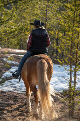 Wall Mural - Woman horseback riding in forest