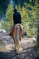 Wall Mural - Woman horseback riding in forest