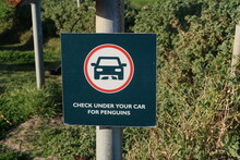 Funny Warning Road Sign Saying To Check Under Your Car For Penguins In Parking Area Near Boulders Beach, Cape Peninsula, Cape Town, South Africa