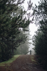 Canvas Print - Cyclist riding on a long narrow road through the forest