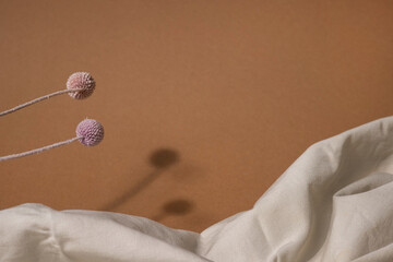 Wall Mural - Dry pink flower Craspedia and fabric with dark shadow on a light brown background. Trend, minimal concept with copyspace